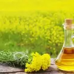 Know Benefits of Mustard Oil Body Massage During Winters