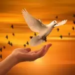 Faith is the key in a do or die situation
