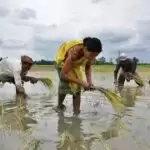 Modi government planning surge in big fertiliser plants to achieve second green revolution