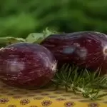 Here know the health benefits of Eggplant