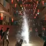 NGT bans sale and use of firecrackers in NCR