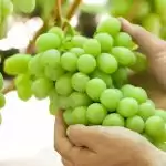 Fun Ways To Add Grapes To Your Meal.