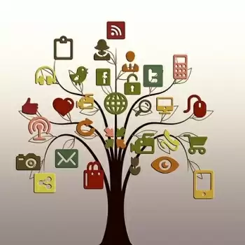 Best career options in the social media field