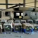 Dozens of security dogs await evacuation to complete US pullout from Afghanistan