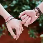 Human happiness is found in friends, says study