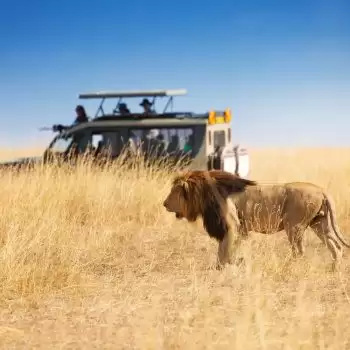 Top Safari Destination Of Africa