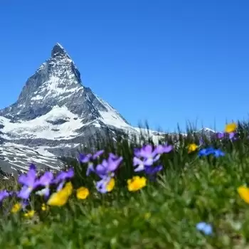 Valley of Flowers reopens for travelers in Uttarakhand