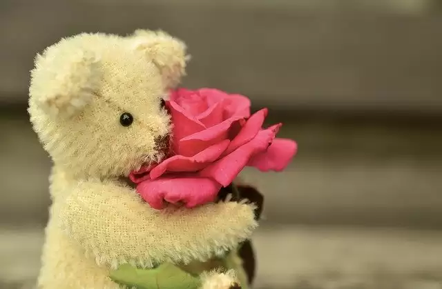 Teddy Day 2021: Why gift teddy on this day?