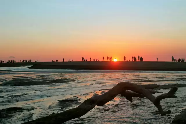 4 Hill Stations to Visit in Kerala