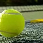 Davis Cup 2020 Finals postponed