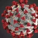 Nagpur man with UK travel history suspected of carrying new strain of Covid-19