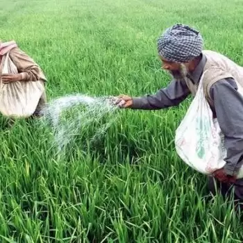 Centre hikes subsidy on DAP fertilizer by 140% to 1200 per bag to woo farmers!