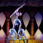 Circus schools back in action in Brussels