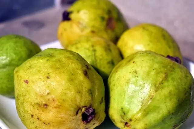 7 Winter Fruits that you should eat in Winter for your good health.