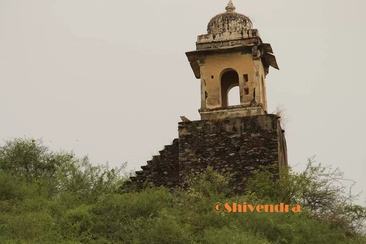 Panther stuns everyone in Udaipur’s hill Bedla Audhi