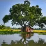 Interesting facts about Palakkad you ought to know