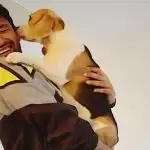 Vicky Kaushal Shares Glimpse of Last Working Day in 2020, Must Check out this!