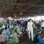 11 traders aof Delhi’s Azadpur Sabzi Mandi test positive for Coronavirus