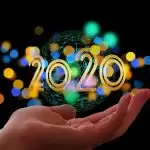 Look at these two viral videos of the year 2020, which make the lockdown period memorable.