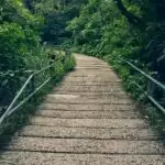 Things you need to know about Jalgaon