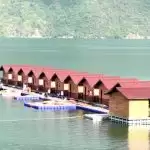 Wow! Tehri lake on India’s longest single-lane motorable suspension bridge