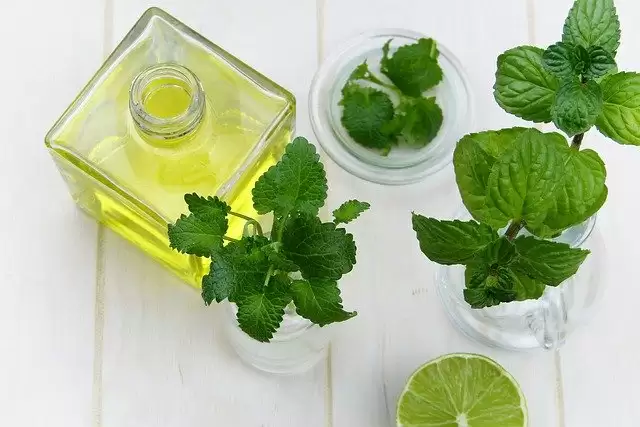 5 Winter Herbs That Boost Your Overall Health