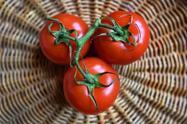 Here Know How to Make Tomato Chutney