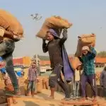 Fake paddy buying center in Madhya Pradesh revealed amidst farmers’ movement