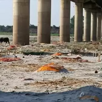 Bodies buried in Prayagraj started coming out as the water level of the Ganges rose