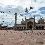 Jama Masjid closed, no mass prayers till June 30