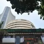 ‘Cats and dogs’ notch close to 20% returns in single session