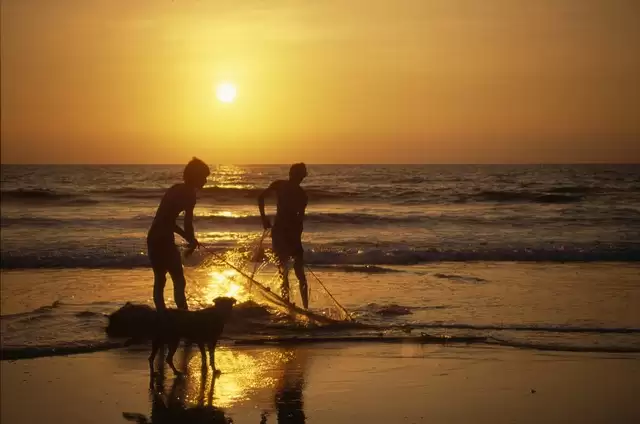 Four beautiful beaches of Goa, Must Visit!