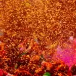 Must-Visit Mathura, Barsana and Vrindavan To Amaze Yourself With Unique Styles of Holi