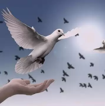 What is a Peaceful Society?