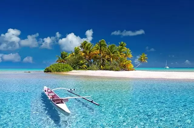 Amazing photographs to celebrate World Photography Day 2020