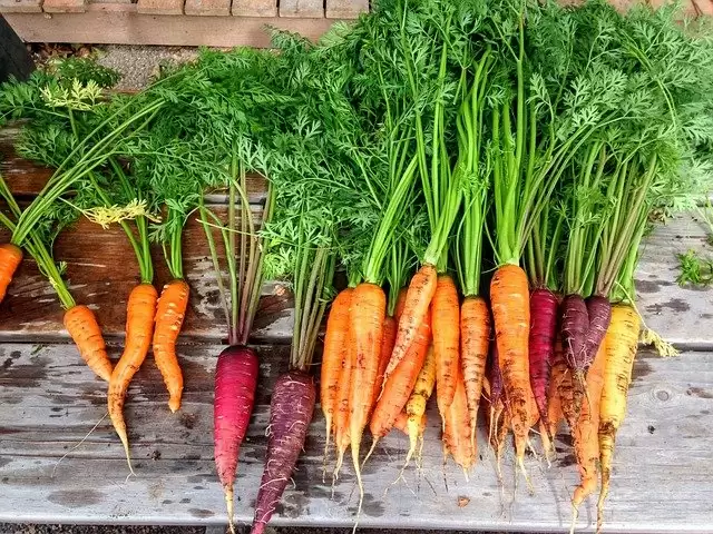 Four plant-based foods you must include in your diet.