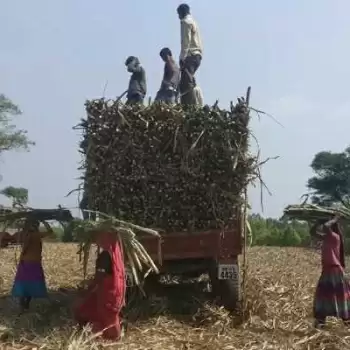 RSS to Protest Against Farm Laws