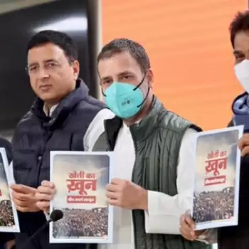 Whoever leaked national secrets for journalist should be put behind bars: Rahul Gandhi