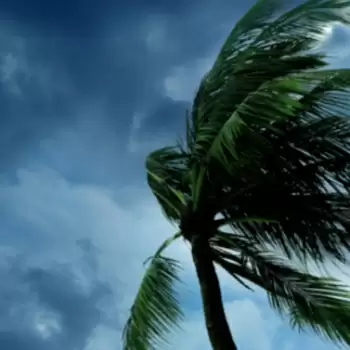 Cyclonic storm Nivar to cross Tamil Nadu, Puducherry coast midnight