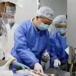 Wuhan authorities find Covid-19 on imported frozen food