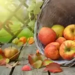 Know the advantages of healthy eating