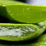 Reasons why you must add aloe vera to your summer skincare routine