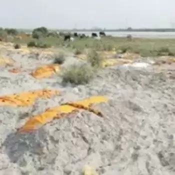 Bodies buried in the Ganges sands instead of cremation in Unnao