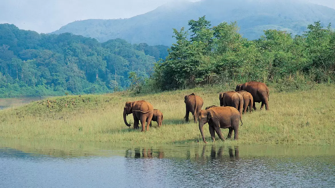 Five Places To Explore In Kerala
