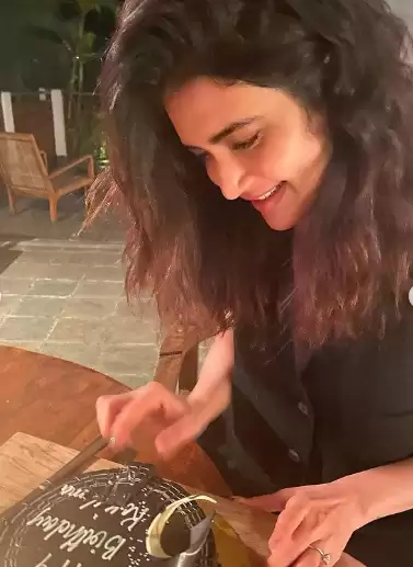 Karishma Tanna Celebrated Her Birthday With a Delicious Chocolate Cake, Check Pictures Here!