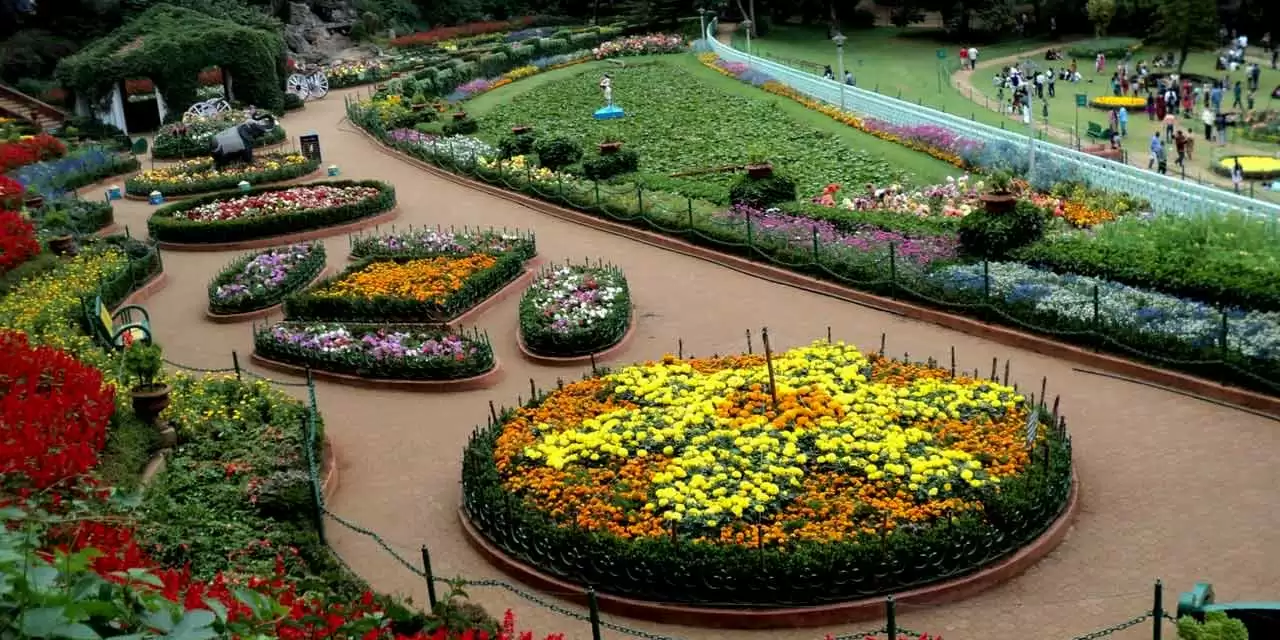 Explore gardens and lakes in Ooty with us.