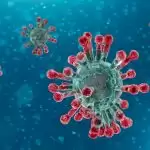 India detects total 71 cases of the new UK mutant strain