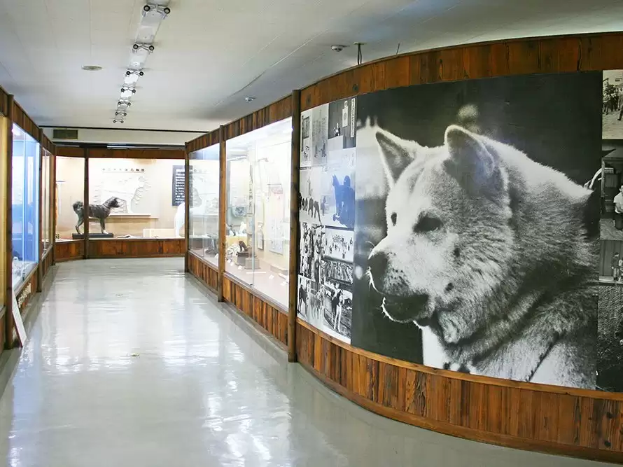 Famous Dog Museums Of The World.