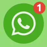WhatsApp is going to update new features soon; this feature will automatically delete messages after 24 hours.