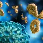 Researchers identify enzyme that helps COVID-19 evade immune system